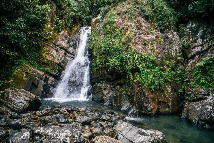 waterfall and rocks